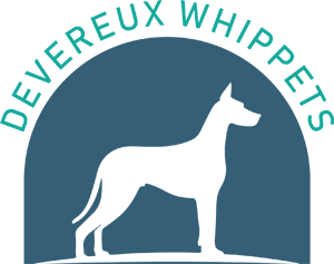 Devereux Whippets